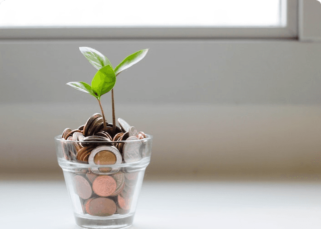 Microfinance